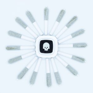 Tangerine K-9 Unit (5g Pre-Roll Pack 0.32g 16pk) | Rhelm