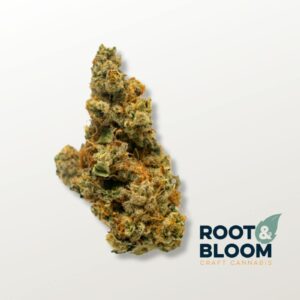 Lemonhead Delight (3.5g Flower) | Root & Bloom