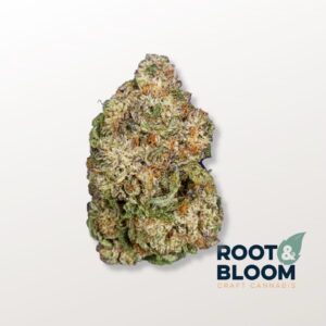 Cherry Pie OG (28g Flower) | Root & Bloom
