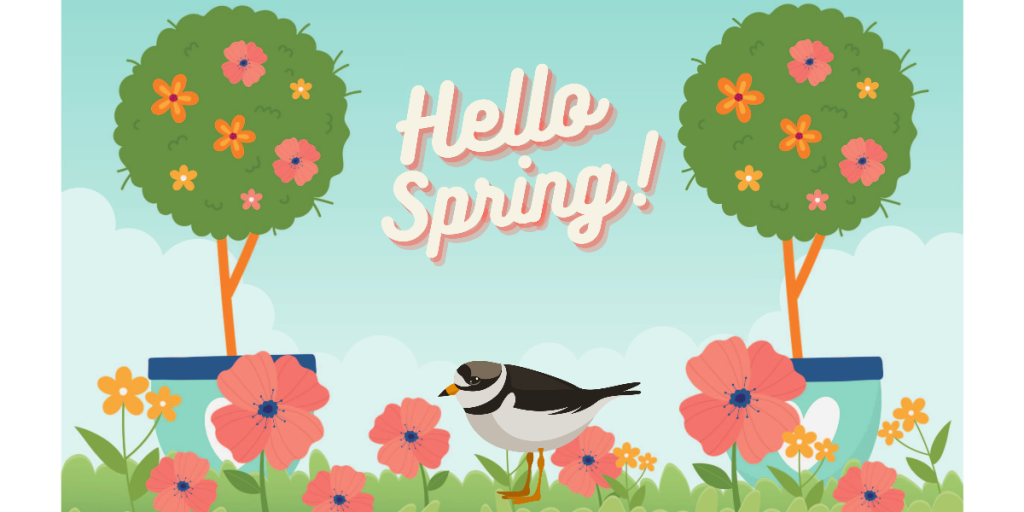 hello spring
