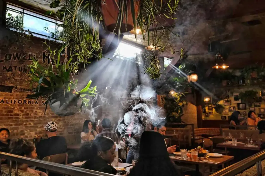 pot cafe