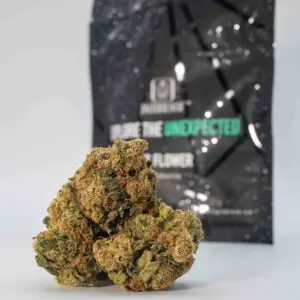 Acid Dough (3.5g Flower) | The Piping Plover Dispensary Acid Dough (3.5g Flower)