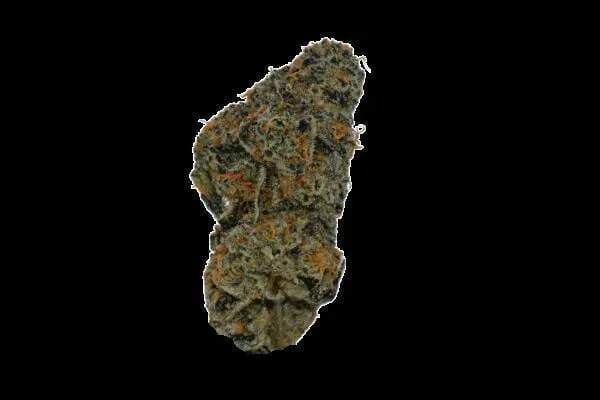 Designer Runtz #7 (7.0g Flower)