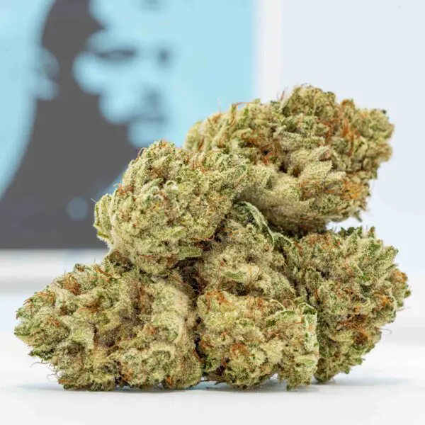 Glue #4 (3.5g Flower)