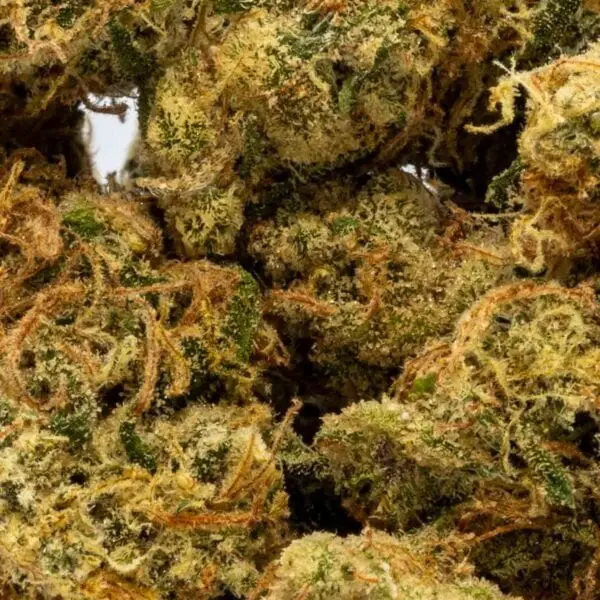 Lamb's Bread (3.5g Flower) | Nature's Heritage