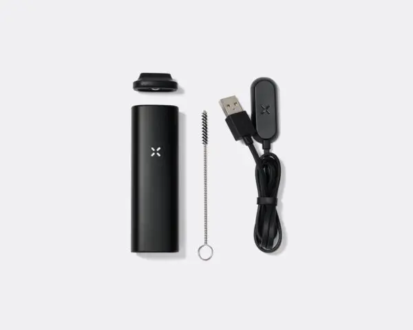 PAX Mini (Onyx)