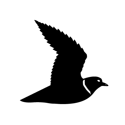 logo bird
