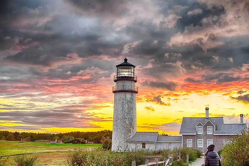 | The Piping Plover Dispensary truro massachusetts cannabis dispensary