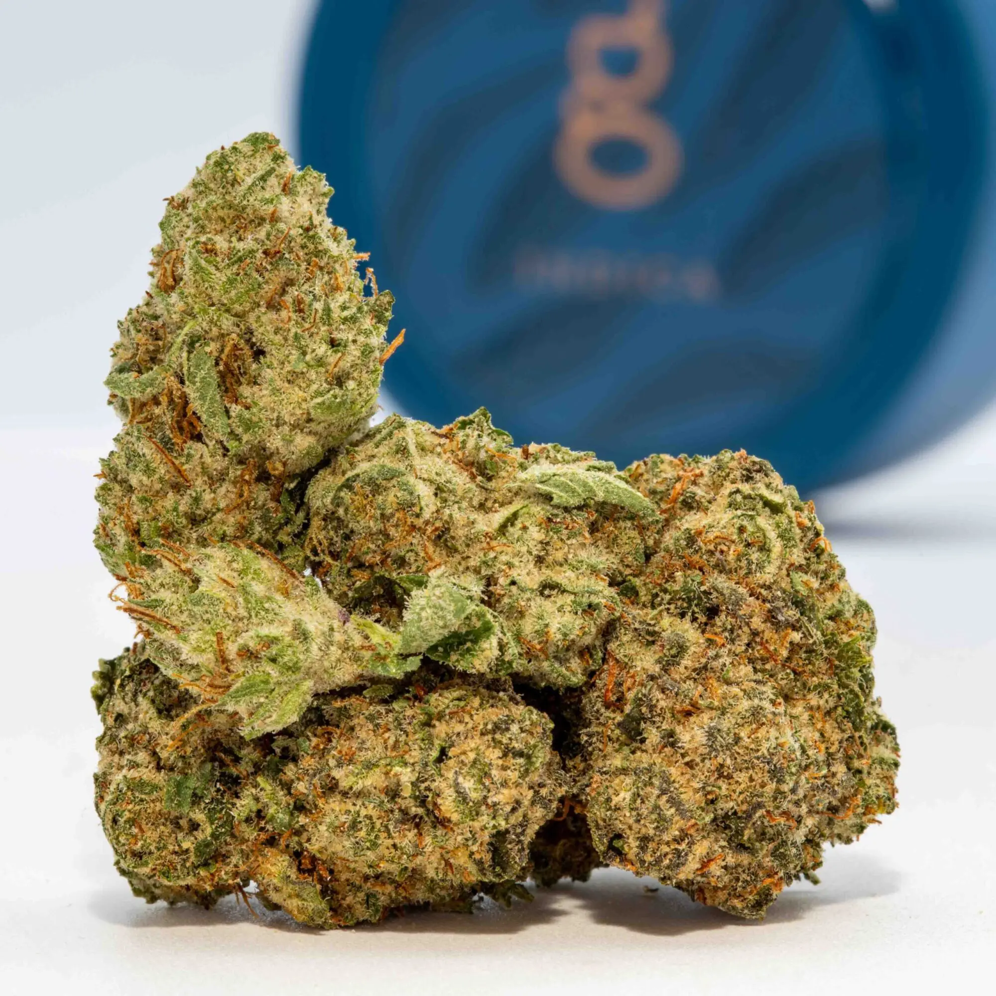 OG Kush Breath (3.5g Flower) | The Piping Plover Dispensary OG Kush Breath (3.5g Flower)