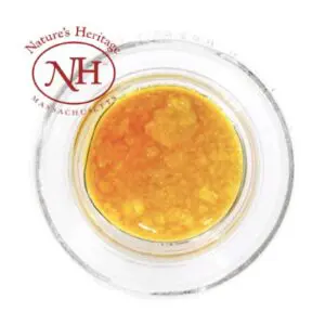 Horace (1.0g Live Resin) | The Piping Plover Dispensary Horace (1.0g Live Resin)