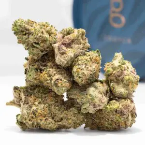 Banana M.A.C. (3.5g Flower) | The Piping Plover Dispensary Banana M.A.C. (3.5g Flower)