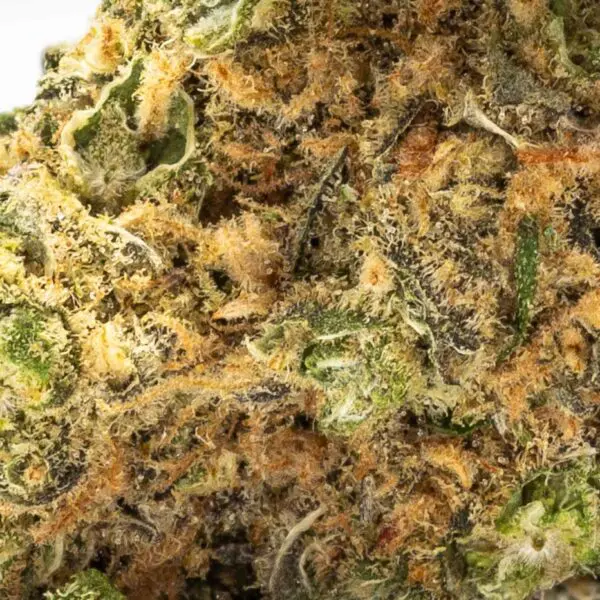 Kine Garlic Tsunami (3.5g Flower)