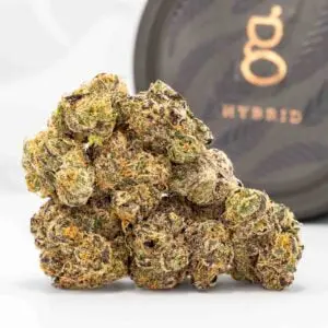 Apple Gelato (3.5g Flower)
