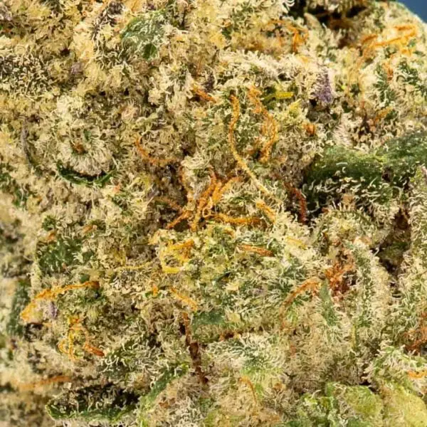 Graham Canyon (3.5g Flower)