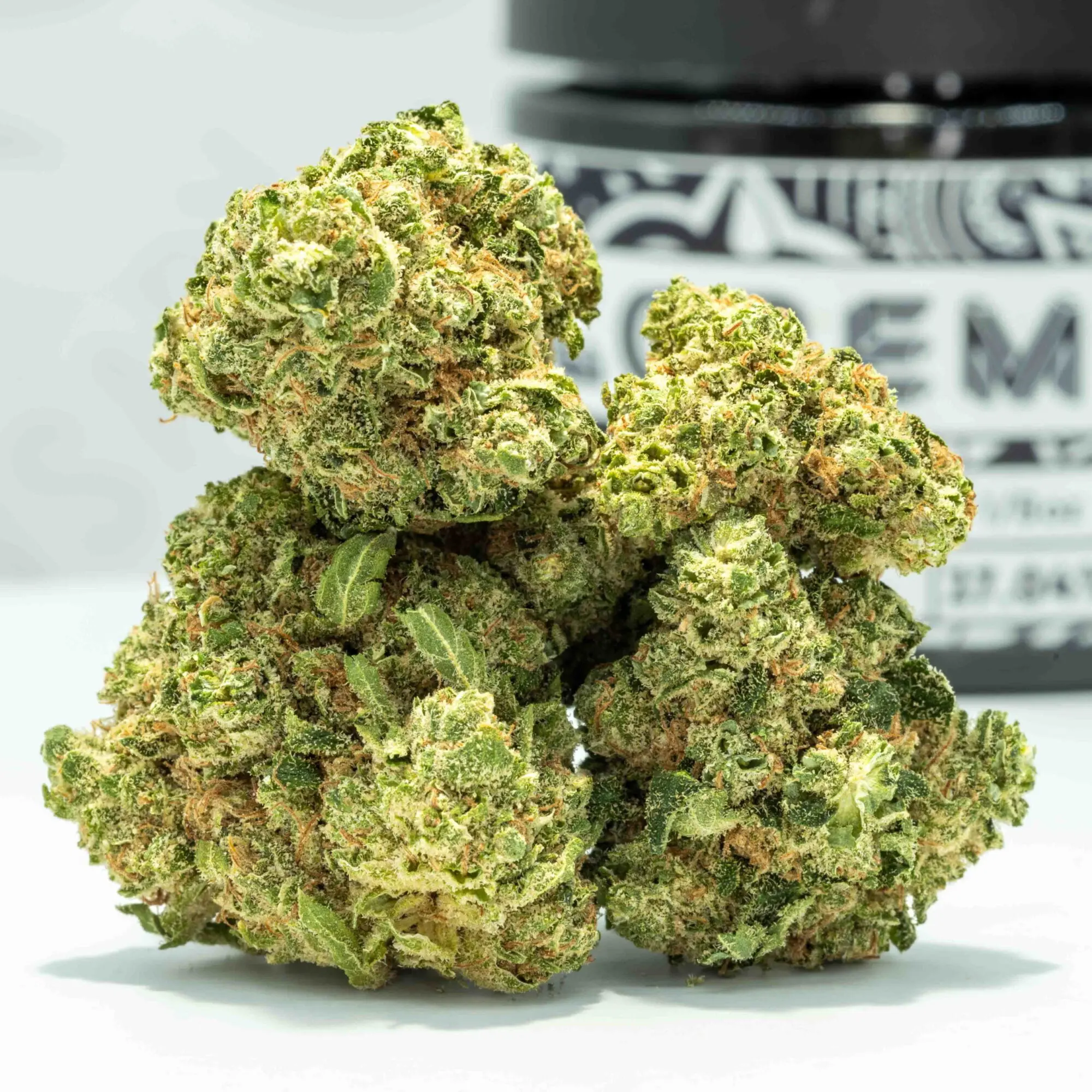 White 99 (3.5g Flower) | The Piping Plover Dispensary White 99 (3.5g Flower)