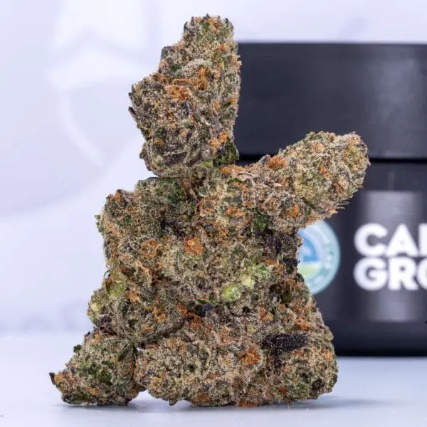 Lion's Breath (3.5g Flower)