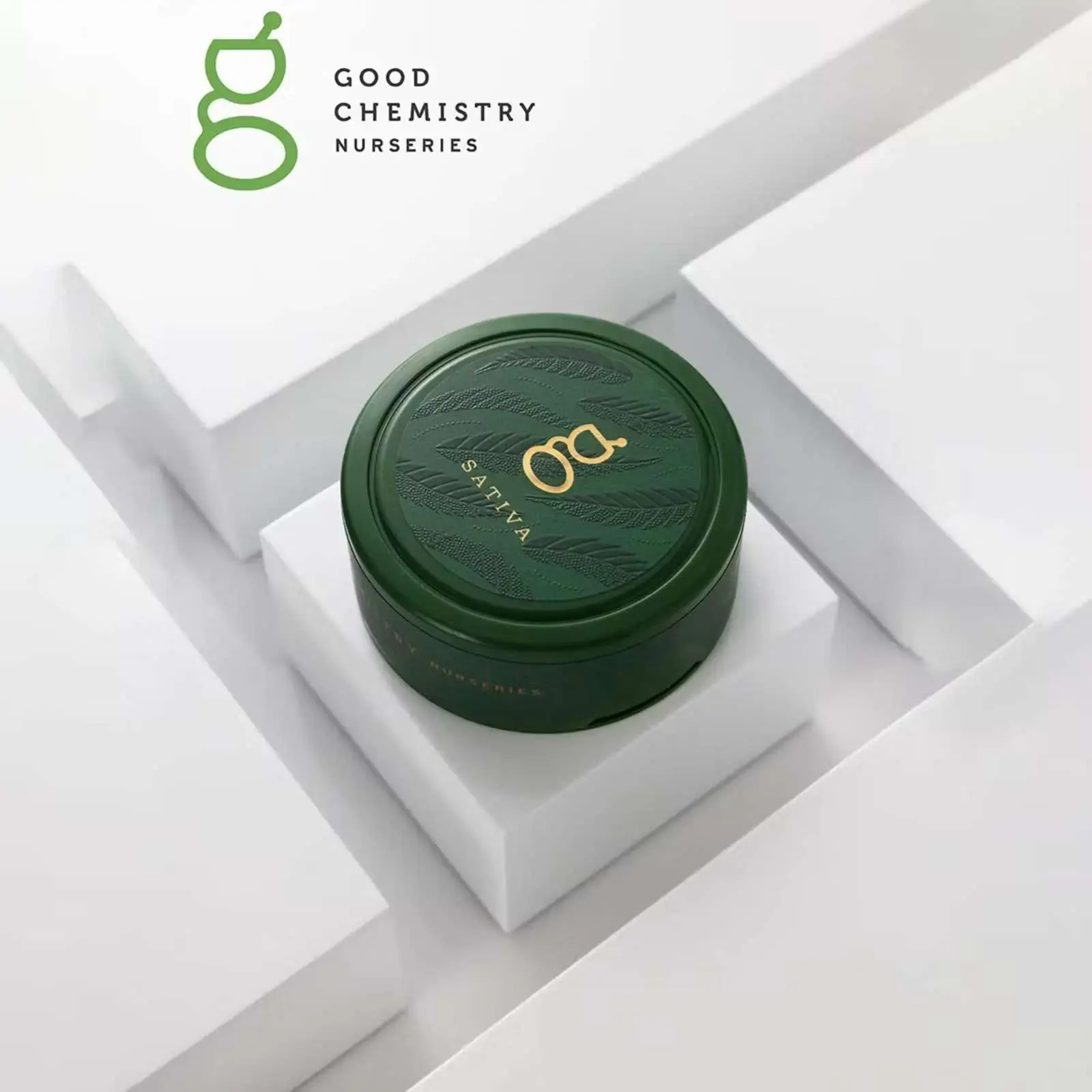 | The Piping Plover Dispensary