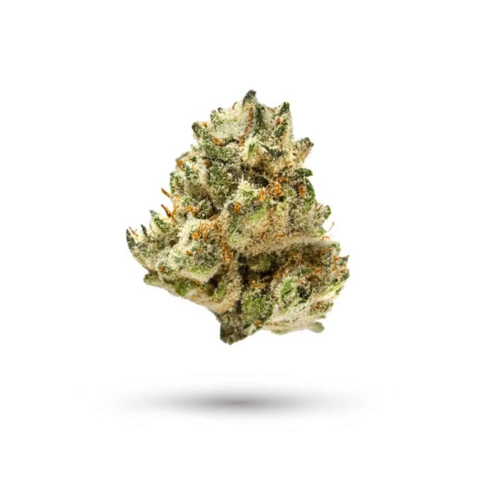 Peach Crescendo (3.5g Flower) | The Piping Plover Dispensary Peach Crescendo (3.5g Flower)