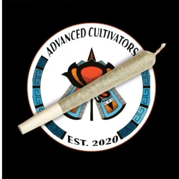 Boca Seca (1.0g Pre-Rolled Joint)