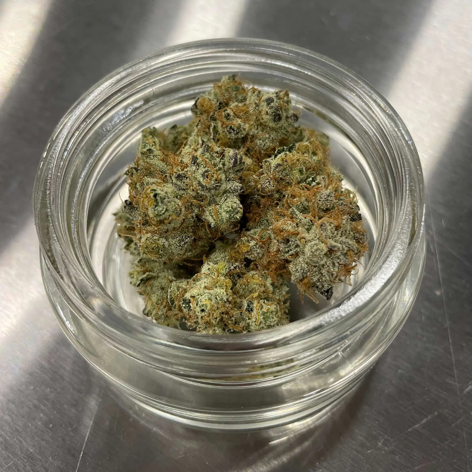 GMO (3.5g Flower) | The Piping Plover Dispensary GMO (3.5g Flower)