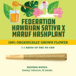 Hawaiian Sativa x Maruf Hashplant 1:1 THC:CBD (1.0g Pre-Rolled Joint)