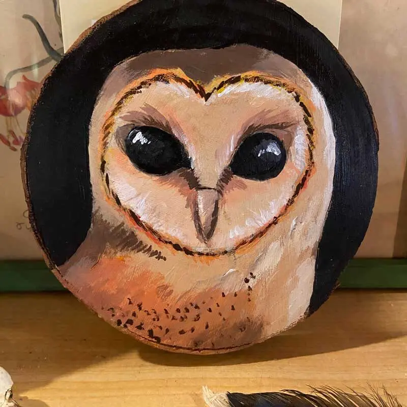 | The Piping Plover Dispensary Sabrina Kane Succulents & Artwork