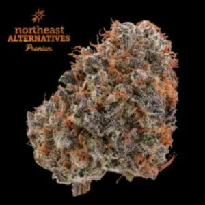 Cherry Punch (3.5g Flower)