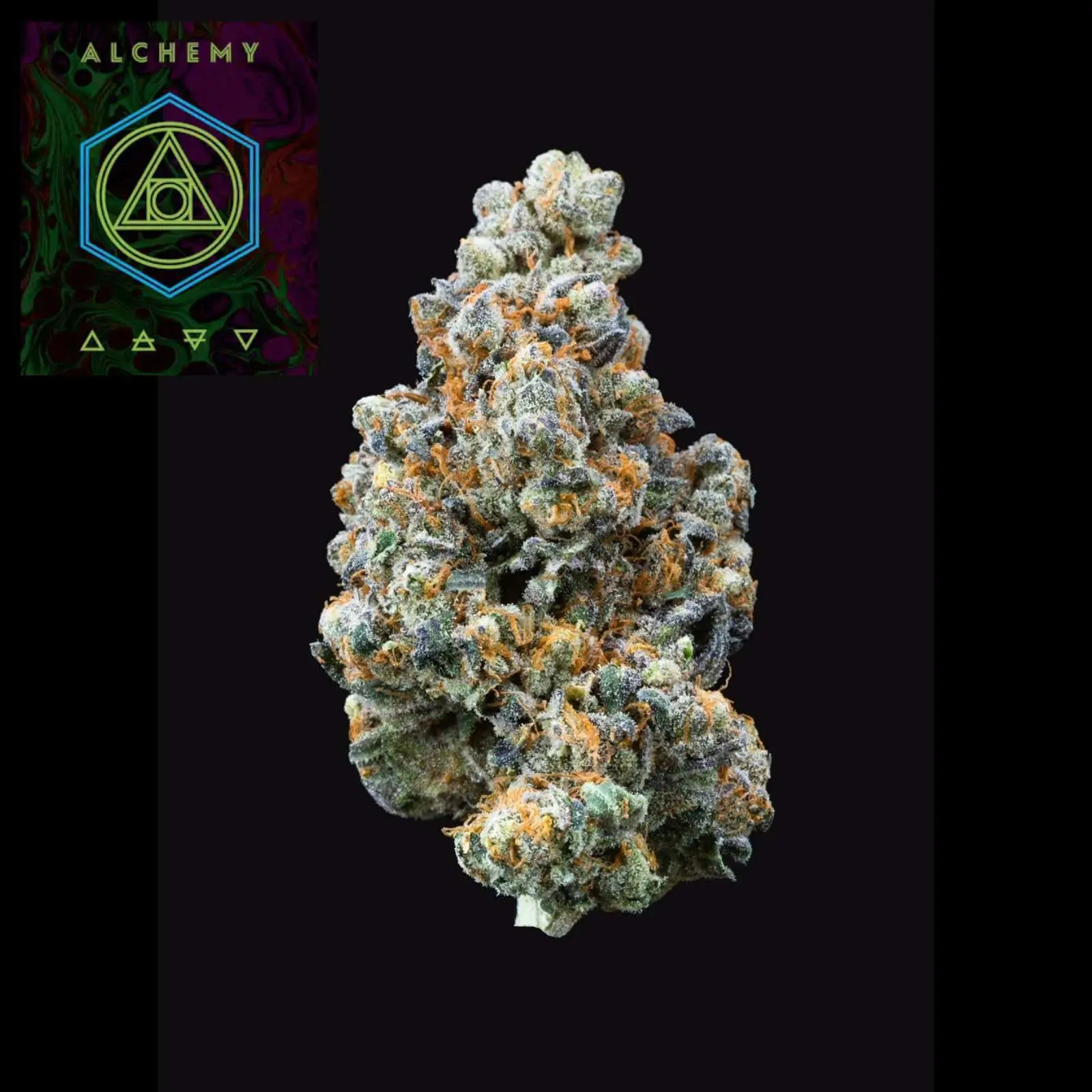 Velvet Pound Cake (14g Small Buds) | The Piping Plover Dispensary Velvet Pound Cake (14g Small Buds)