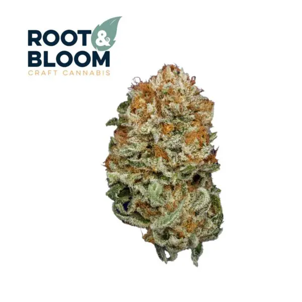 Angry Ginger (14g Flower)
