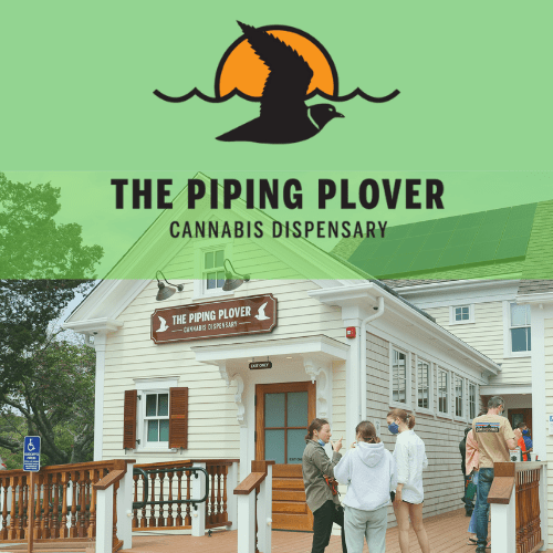 the piping plover cannabis dispensary