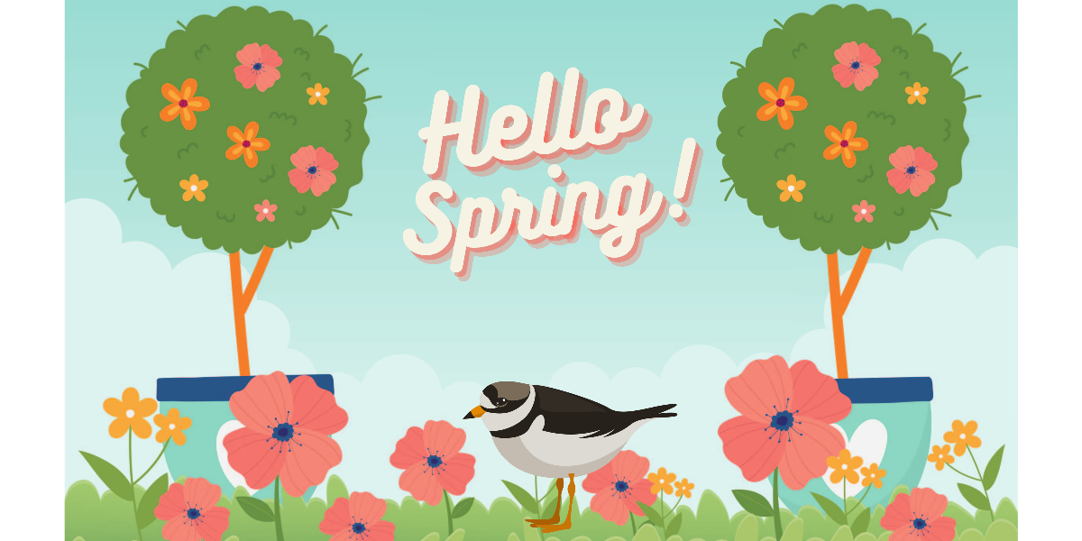 hello spring