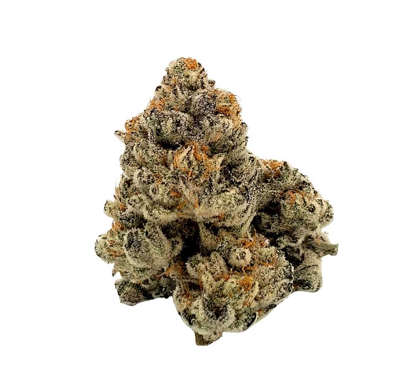 general zod cannabis strain