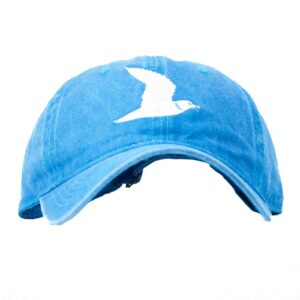 Baseball Cap (Blue)