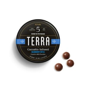 Chocolate Covered Blueberry Terra Bites