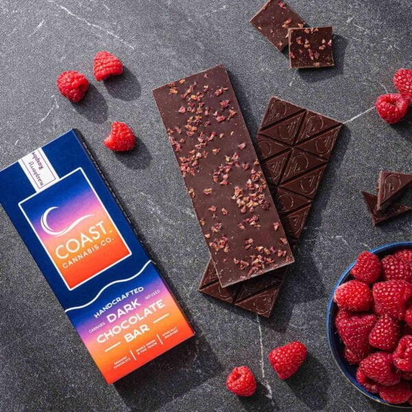 Dark Chocolate & Raspberry Bar