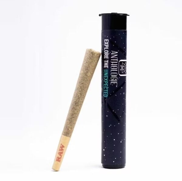 GMO Zkittles (1.0g Pre-Rolled Joint)