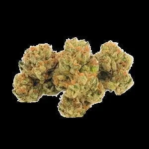 Long Beach OG (2.0g Flower)