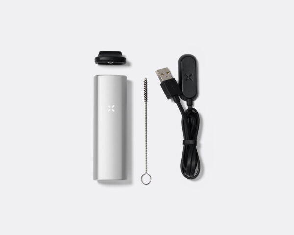 PAX Mini (Silver)