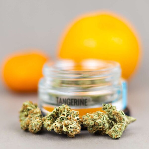 Tangerine (3.5g Flower)