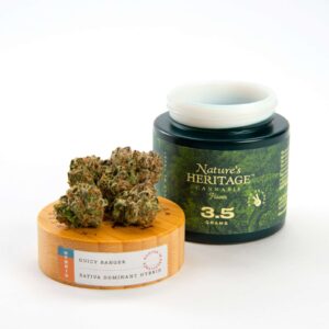 Guicy Banger (3.5g Flower)