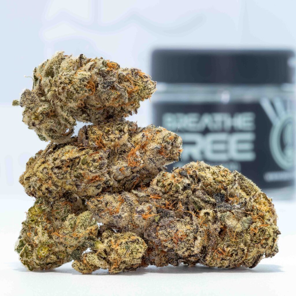 Platinum Kush Breath x Sherb King (3.5g Flower) Breathe Free The