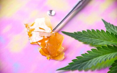 What is Shatter? A Guide to the World of Cannabis Concentrate