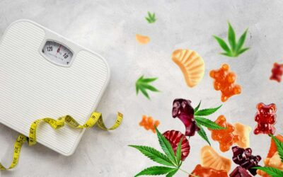 Cannabis for Weight Management – Food for Thought?