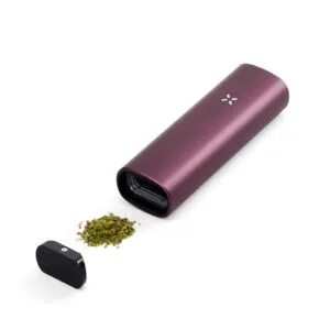 PAX Plus (Elderberry)