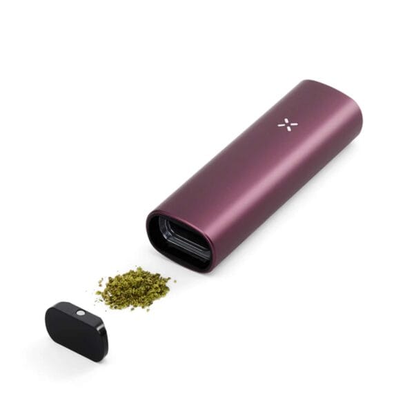 PAX Plus (Elderberry)