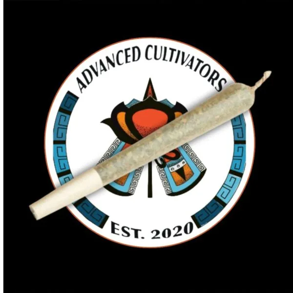Boca Seca (1.0g Pre-Rolled Joint)