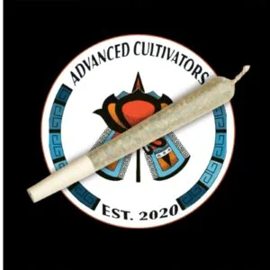 Wingsuit (1.0g Pre-Rolled Joint)