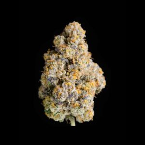 Cape White Shark (14g Small Buds) | Alchemy
