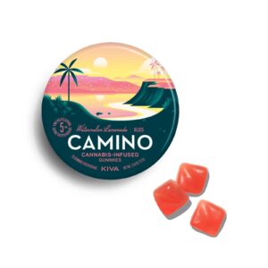 Watermelon Lemonade "Bliss" Gummies | Camino - ea