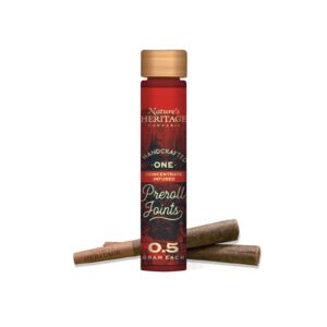 Governmint Oasis (1.0g Hash Infused Pre-Roll Pack 0.5g 2pk) | Nature's Heritage